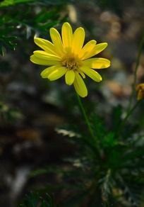 Ư����С�ջ�