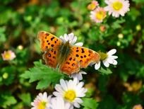 Ư���ջ��ϵĺ���