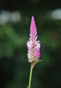 ������д