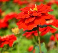 �޺���������ղ�