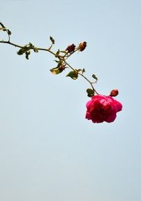 �����µ�Ǿޱ��