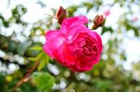 ʢ����Ǿޱ��