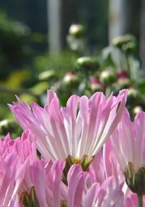 �����µ���Ʒ����ɫ�ջ�