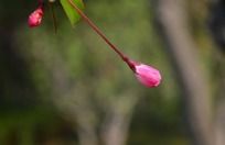 ��˿���Ļ���