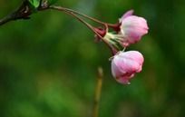 ���۵Ĵ�˿���Ļ���