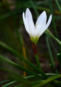 ��׵Ĵ�������