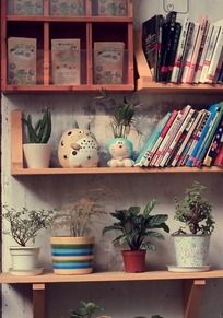 ���ϵ����