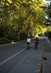 ��·���Ե�����