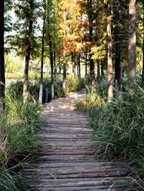 �������ľ�ʵ�·