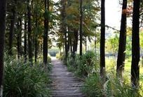 ������Ư����ľ�ʵ�·