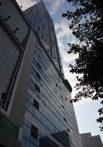 �ߴ�Ĺ�����ʢ�㳡