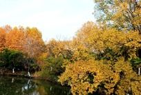 �＾��������ľ