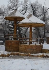 ���ŵ�Ģ����ͤ