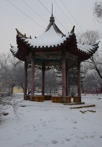 ѩ���ϵİ˽���ͤ