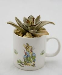 �ɿ�������