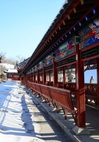 �ų�������