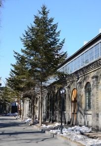 ���ֻ�е��