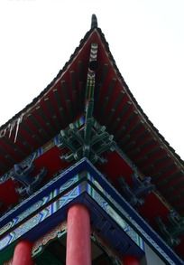 ֱ����������