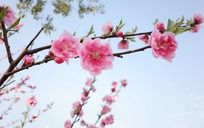 ������Ц���һ�