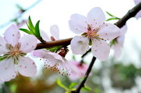 ���۵��һ�