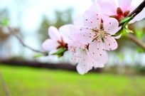 ���۵��һ�