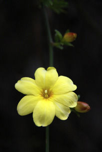 С�ƻ��ʻ�����