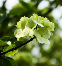 ���ŵ�����