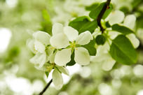 ��ɫ���Ļ�