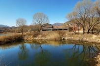 ��Ұ�������