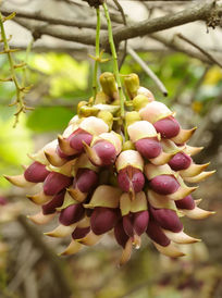 ��ȸ������