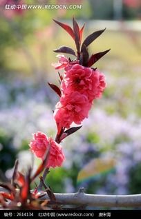 һ���һ���