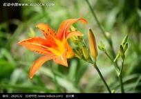 һ�����ǲ�