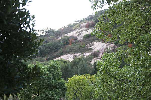 ����ʤ��