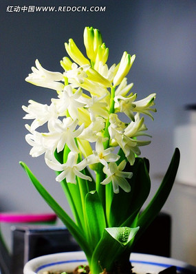 �������ز�