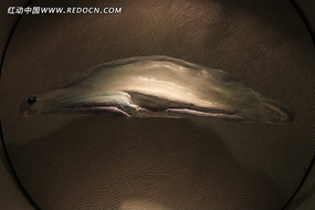 ʷǰ�������ﻯʯ