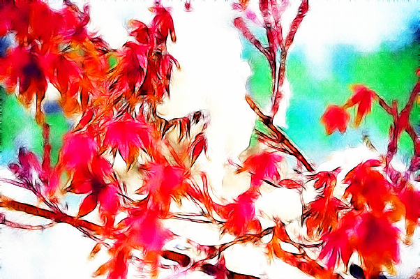 ��ϼ����