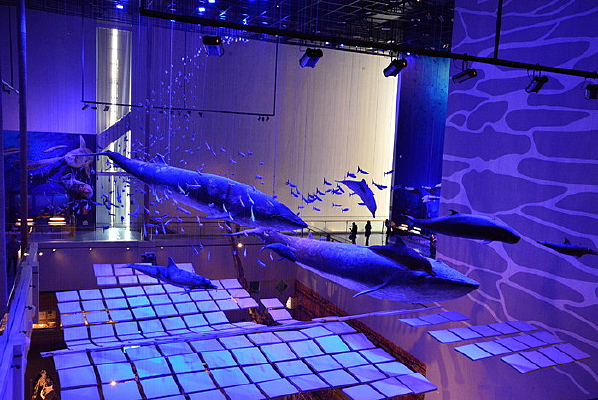 �����²����