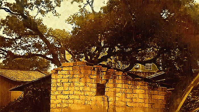 ˮ������