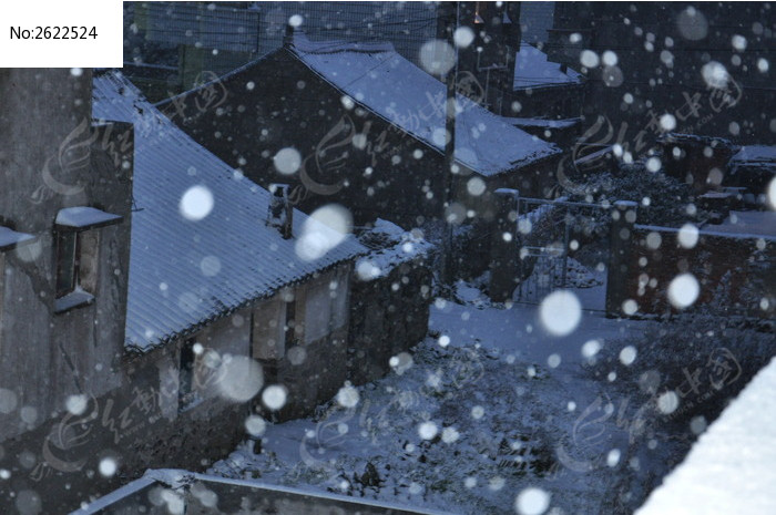 農村夜晚的雪景