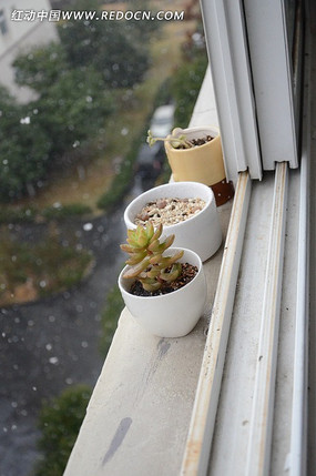 ����ֲ�ﴰ̨