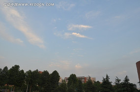 Ϧ���µ����