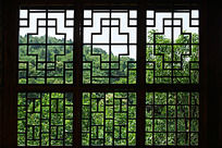 �Ž�����