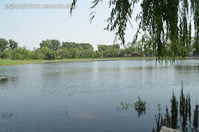 �ú�԰����