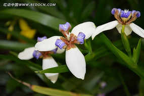 �����β��