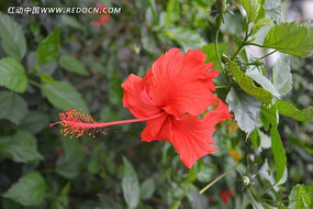 ������Ȼ�