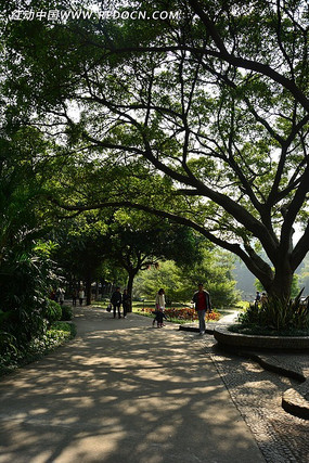 ����С��