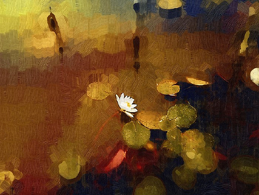 �ɻ���ˮ�ۻ�