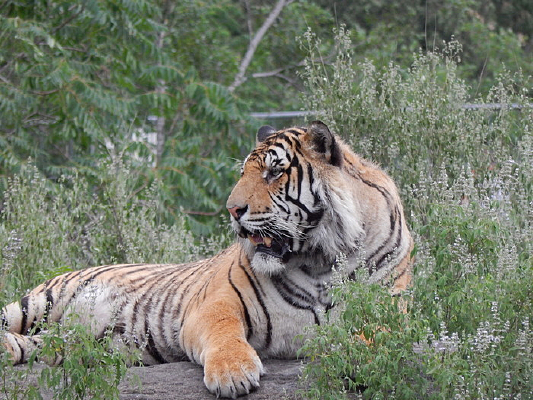 ����֮���ϻ�