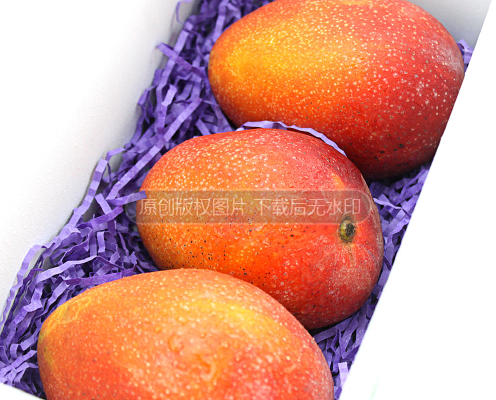 â����ӰͼƬ