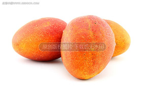 ̨��ƻ��â��